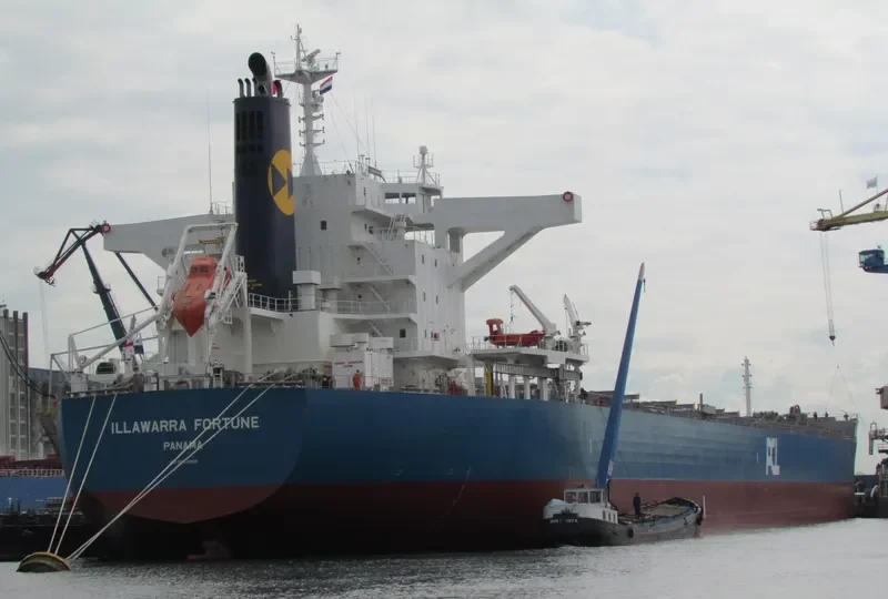 ILLAWARRA FORTUNE Bulk Carrier IMO 9650808