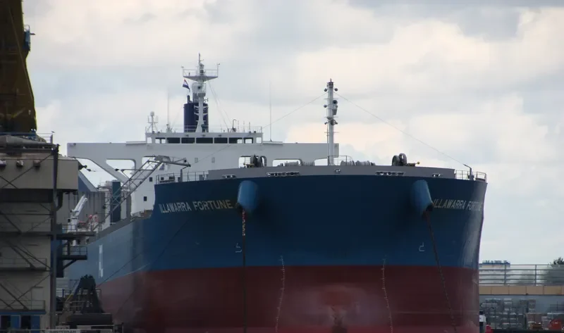 ILLAWARRA FORTUNE Bulk Carrier IMO 9650808 photo 2