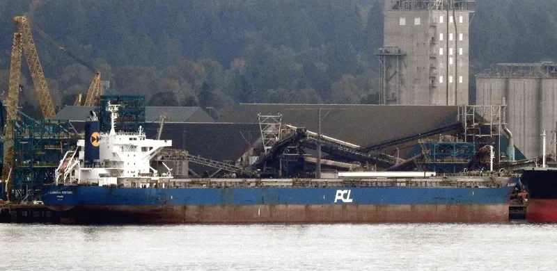 ILLAWARRA FORTUNE Bulk Carrier IMO 9650808 photo 3