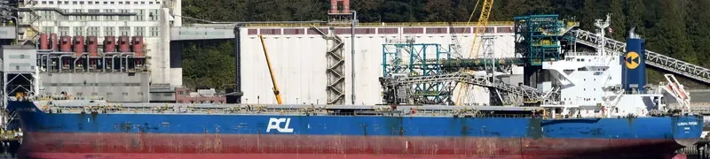 ILLAWARRA FORTUNE Bulk Carrier IMO 9650808 photo 5