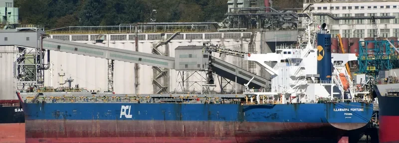 ILLAWARRA FORTUNE Bulk Carrier IMO 9650808 photo 6