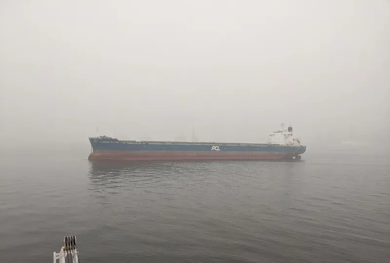 ILLAWARRA FORTUNE Bulk Carrier IMO 9650808 photo 7