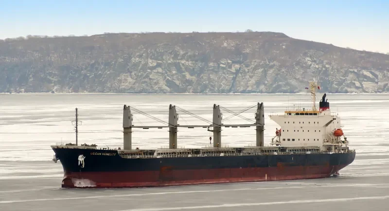 OCEAN HONESTY Bulk Carrier IMO 9650810 photo 5