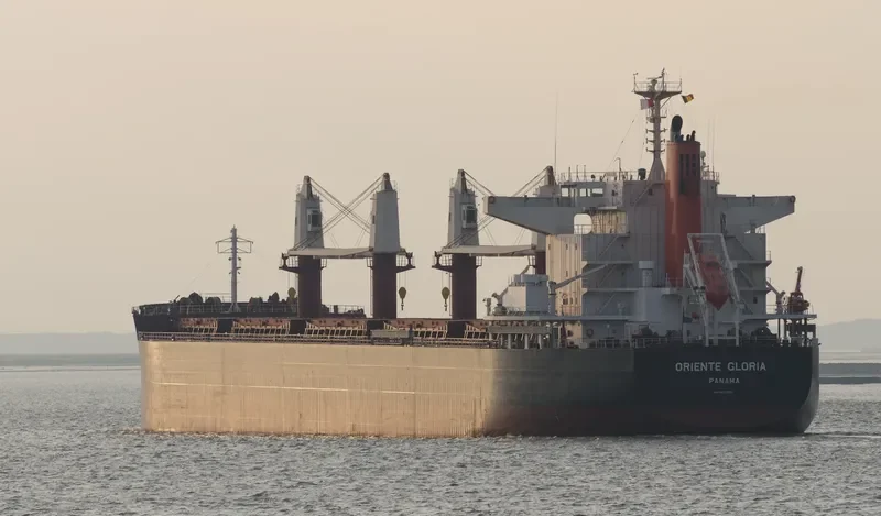 ORIENTE GLORIA Bulk Carrier IMO 9650822 photo 4