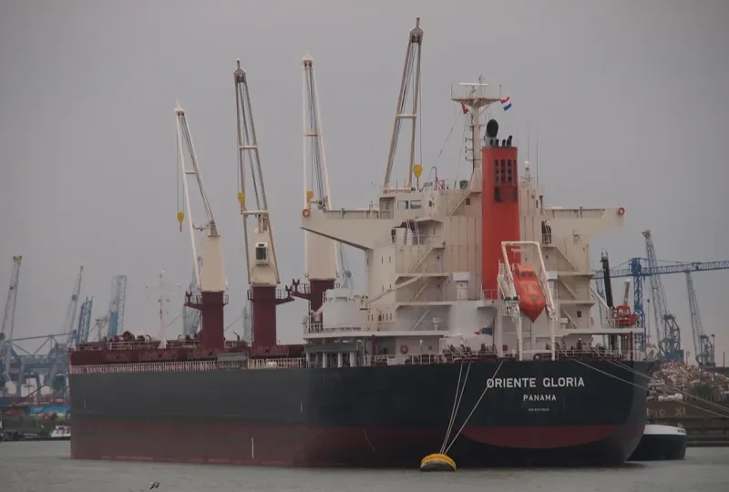 ORIENTE GLORIA Bulk Carrier IMO 9650822 photo 8