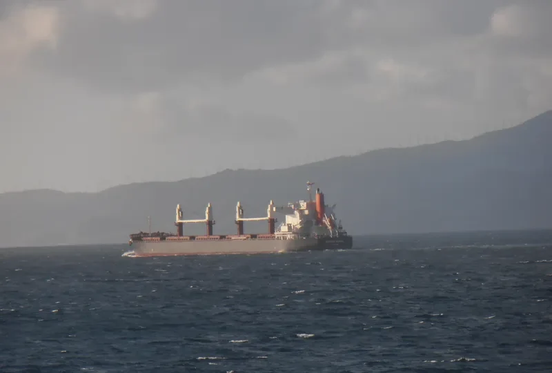 ORIENTE GLORIA Bulk Carrier IMO 9650822 photo 9