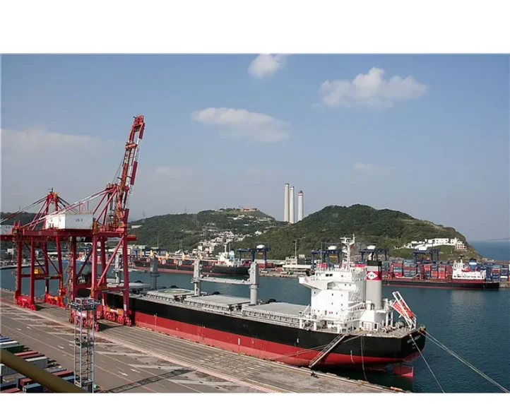 MARITIME LONGEVITY Bulk Carrier IMO 9650834