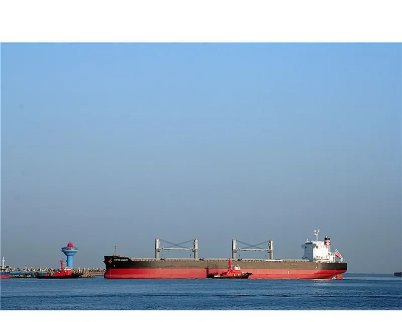 MARITIME LONGEVITY Bulk Carrier IMO 9650834 photo 2