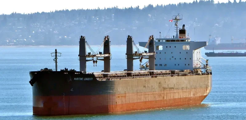 MARITIME LONGEVITY Bulk Carrier IMO 9650834 photo 3