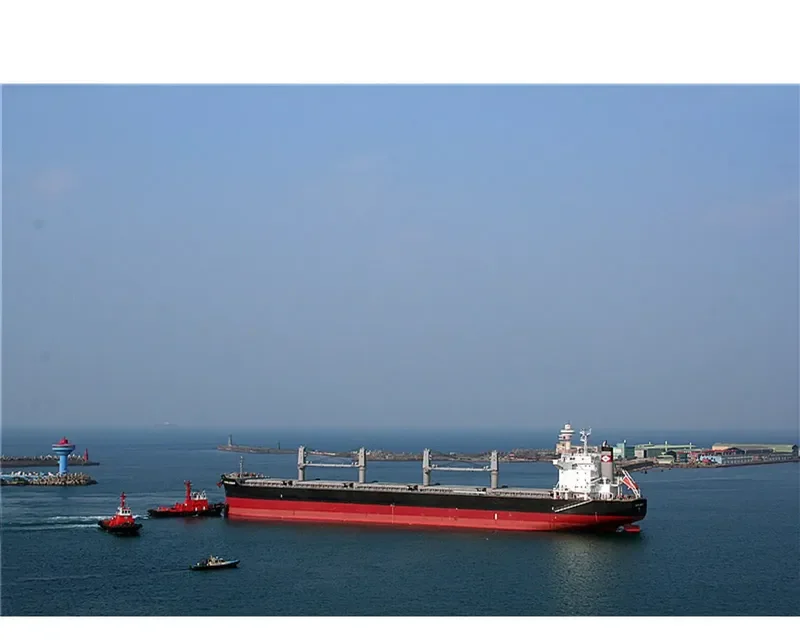 MARITIME LONGEVITY Bulk Carrier IMO 9650834 photo 4