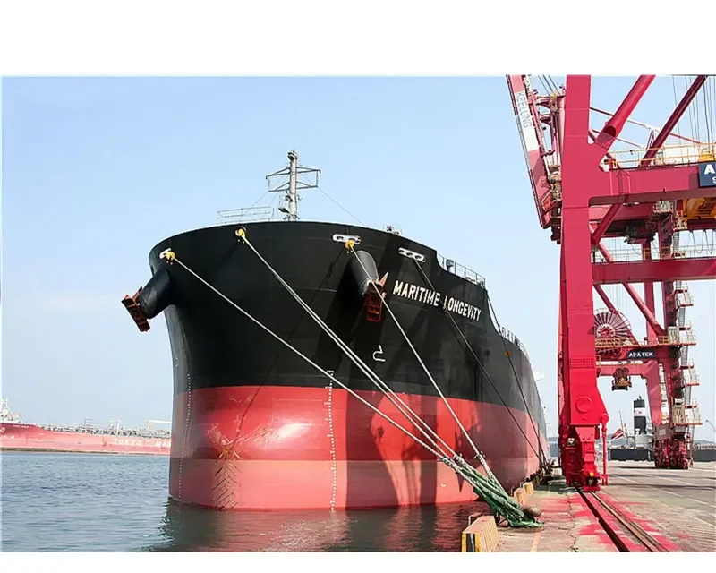 MARITIME LONGEVITY Bulk Carrier IMO 9650834 photo 6
