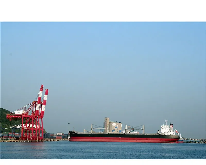 MARITIME LONGEVITY Bulk Carrier IMO 9650834 photo 7