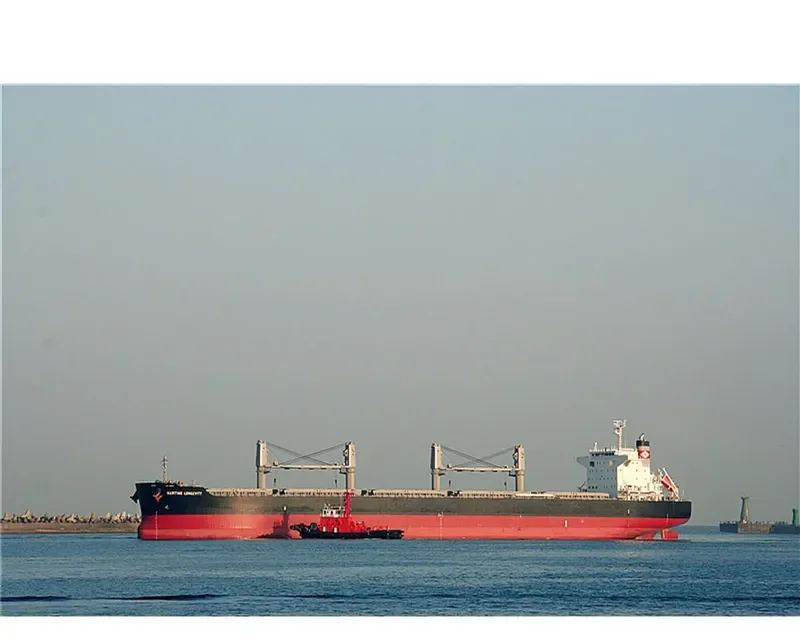 MARITIME LONGEVITY Bulk Carrier IMO 9650834 photo 8