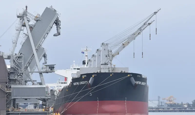 MARITIME LONGEVITY Bulk Carrier IMO 9650834 photo 9