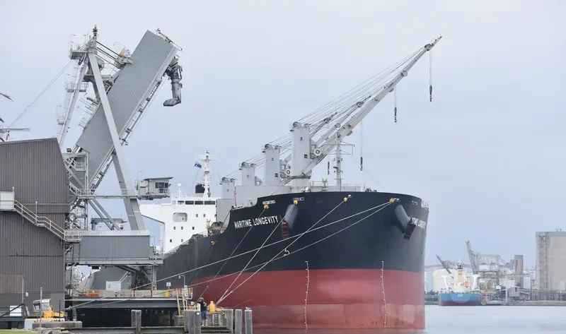 MARITIME LONGEVITY Bulk Carrier IMO 9650834 photo 10