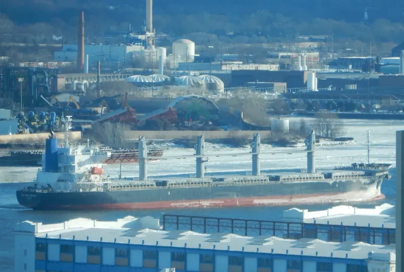 SAKURA DREAM Bulk Carrier IMO 9650858