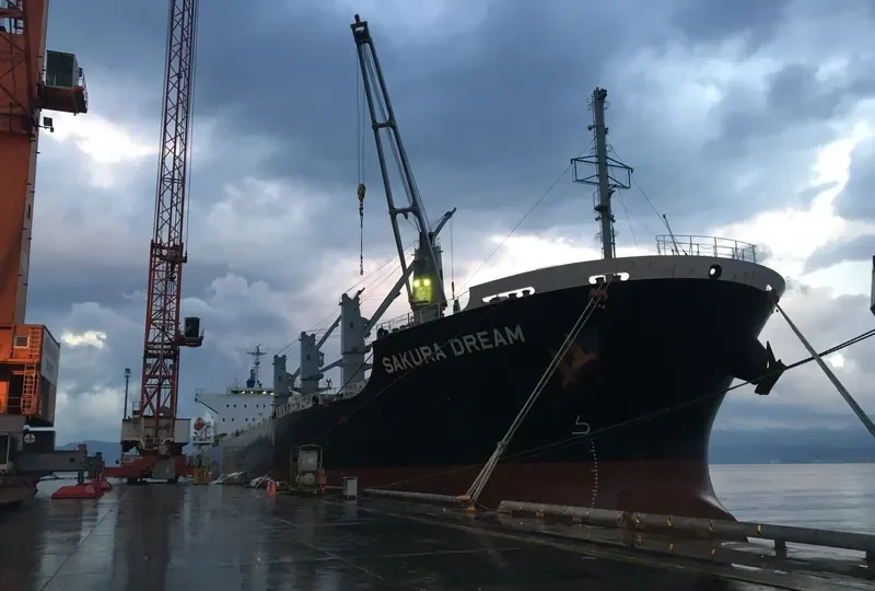 SAKURA DREAM Bulk Carrier IMO 9650858 photo 2