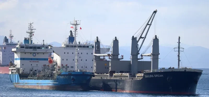 SAKURA DREAM Bulk Carrier IMO 9650858 photo 3