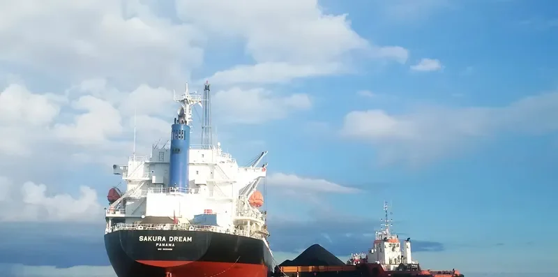 SAKURA DREAM Bulk Carrier IMO 9650858 photo 4
