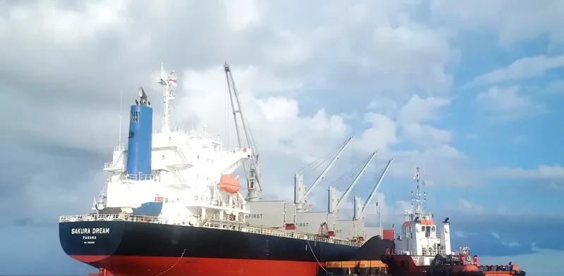 SAKURA DREAM Bulk Carrier IMO 9650858 photo 5