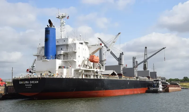 SAKURA DREAM Bulk Carrier IMO 9650858 photo 6