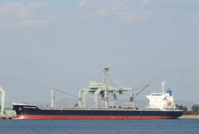 SAKURA DREAM Bulk Carrier IMO 9650858 photo 7