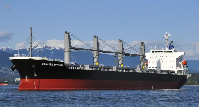 SAKURA DREAM Bulk Carrier IMO 9650858 photo 8