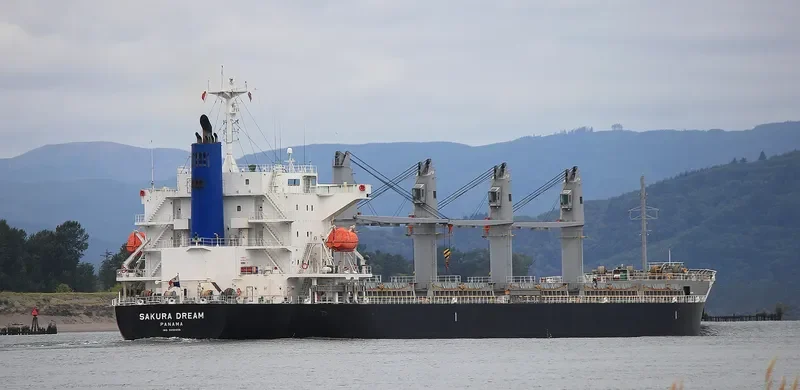 SAKURA DREAM Bulk Carrier IMO 9650858 photo 9