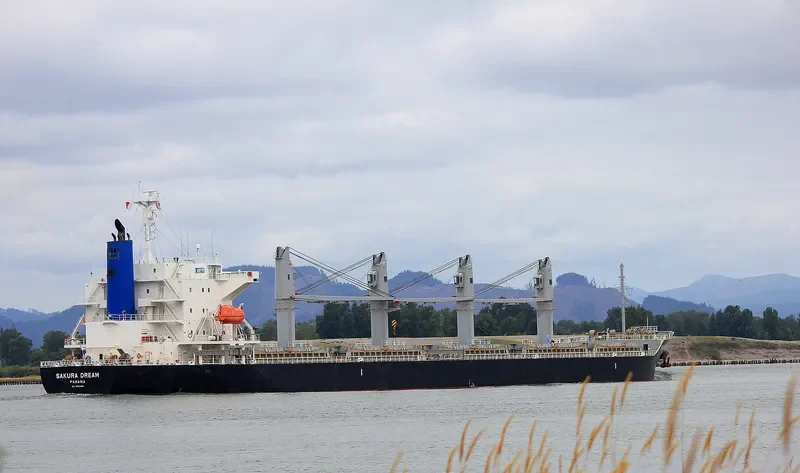 SAKURA DREAM Bulk Carrier IMO 9650858 photo 10