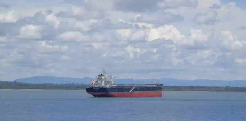 MISTRAL I Bulk Carrier IMO 9650860 photo 8