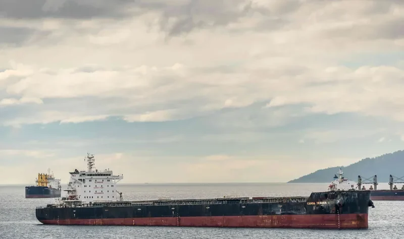 STAR SUZANNA Bulk Carrier IMO 9650872
