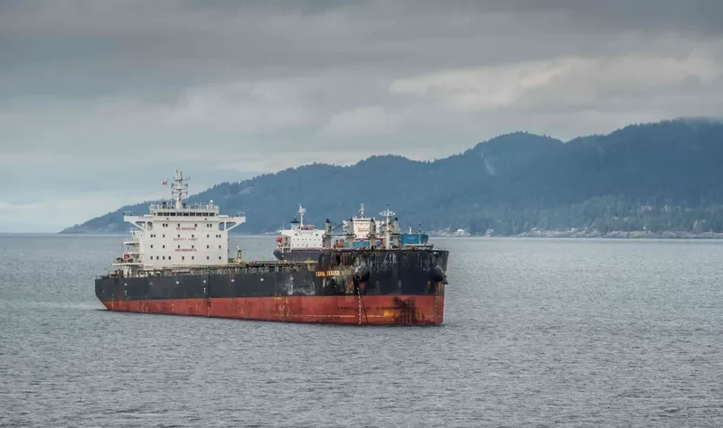 STAR SUZANNA Bulk Carrier IMO 9650872 photo 2