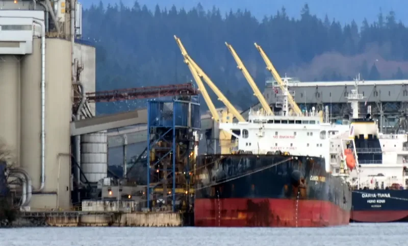 STAR SUZANNA Bulk Carrier IMO 9650872 photo 3