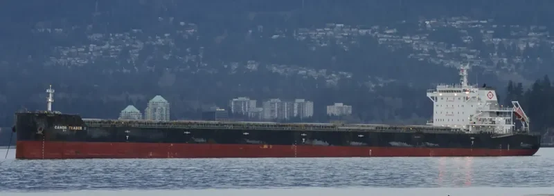 STAR SUZANNA Bulk Carrier IMO 9650872 photo 4