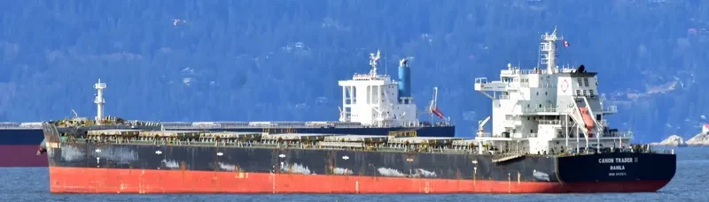 STAR SUZANNA Bulk Carrier IMO 9650872 photo 5