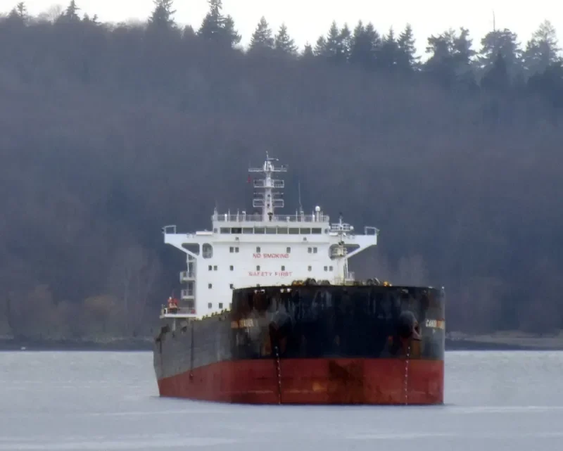 STAR SUZANNA Bulk Carrier IMO 9650872 photo 6
