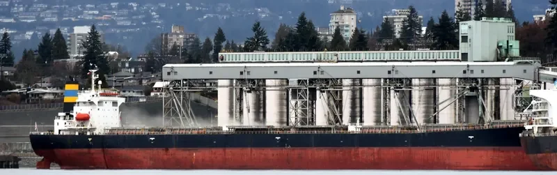 STAR SUZANNA Bulk Carrier IMO 9650872 photo 7
