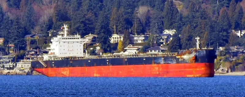 STAR SUZANNA Bulk Carrier IMO 9650872 photo 8