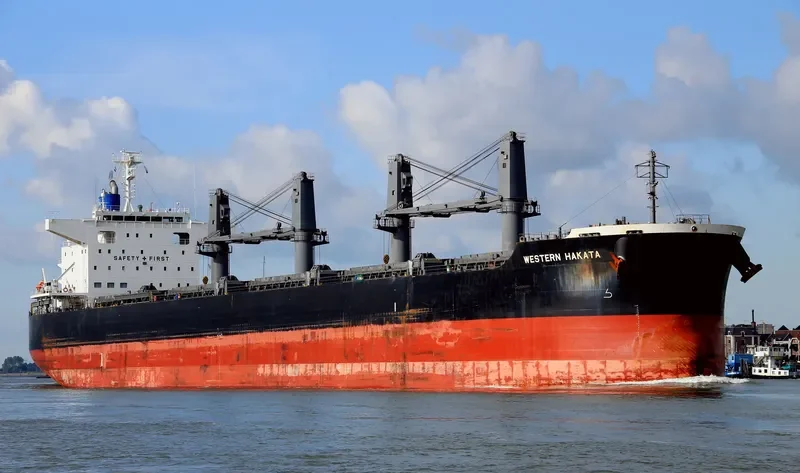 ETERNAL HAKATA Bulk Carrier IMO 9650925 photo 2