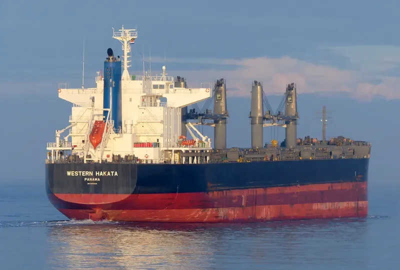 ETERNAL HAKATA Bulk Carrier IMO 9650925 photo 3