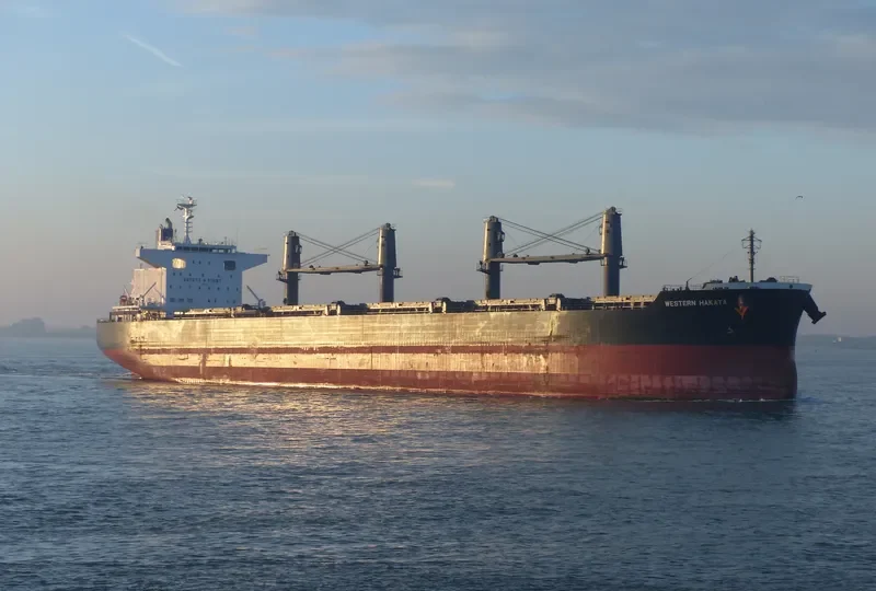 ETERNAL HAKATA Bulk Carrier IMO 9650925 photo 4