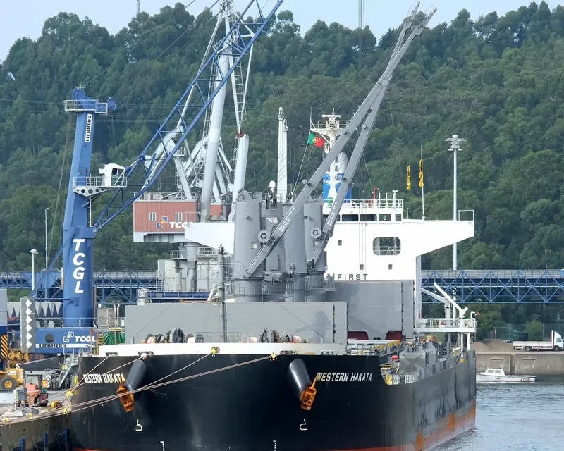 ETERNAL HAKATA Bulk Carrier IMO 9650925 photo 6