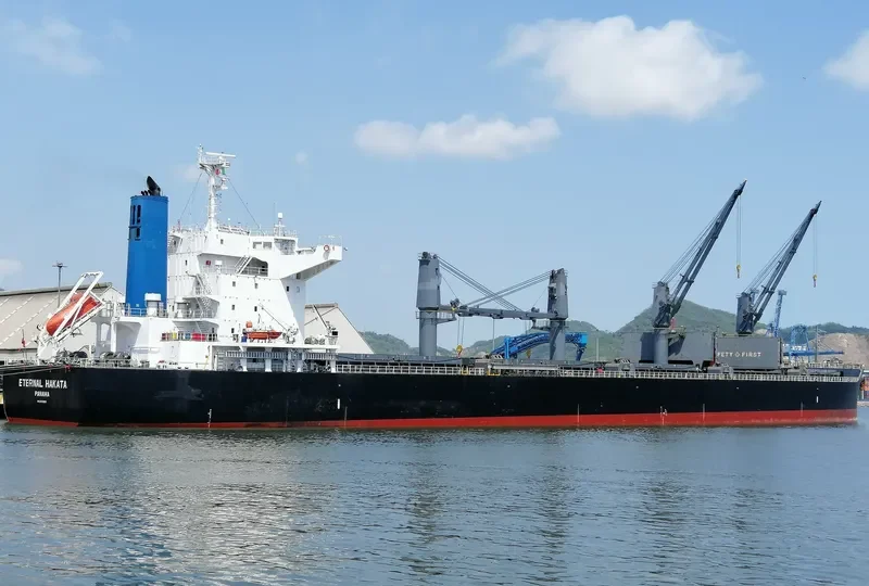 ETERNAL HAKATA Bulk Carrier IMO 9650925 photo 9