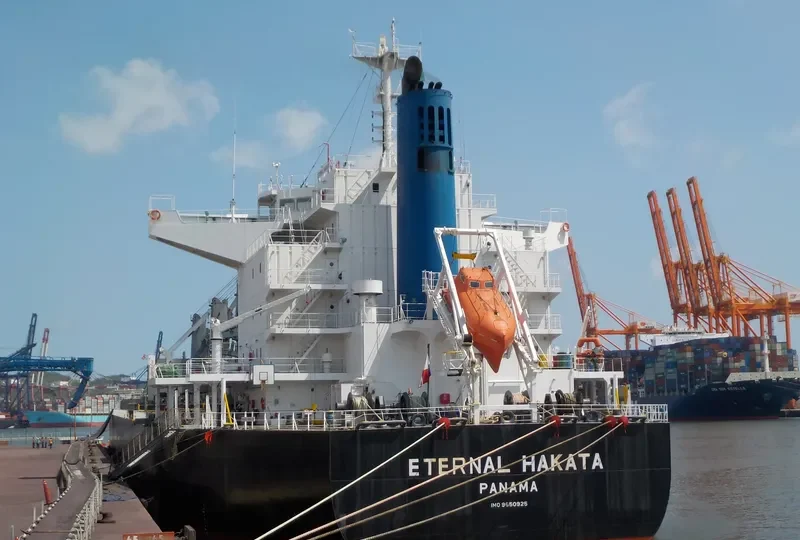 ETERNAL HAKATA Bulk Carrier IMO 9650925 photo 10