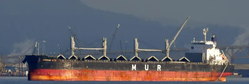AFRICAN KITE Bulk Carrier IMO 9650937
