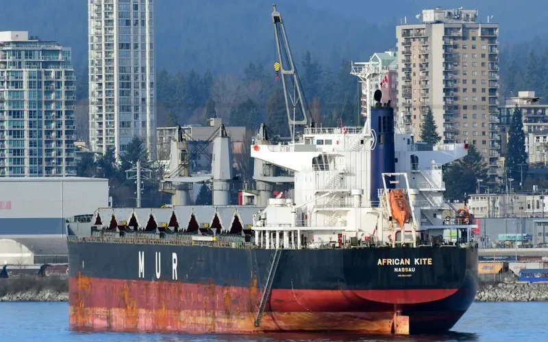 AFRICAN KITE Bulk Carrier IMO 9650937 photo 2