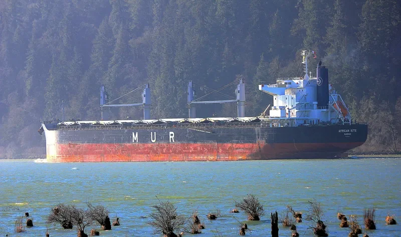 AFRICAN KITE Bulk Carrier IMO 9650937 photo 4