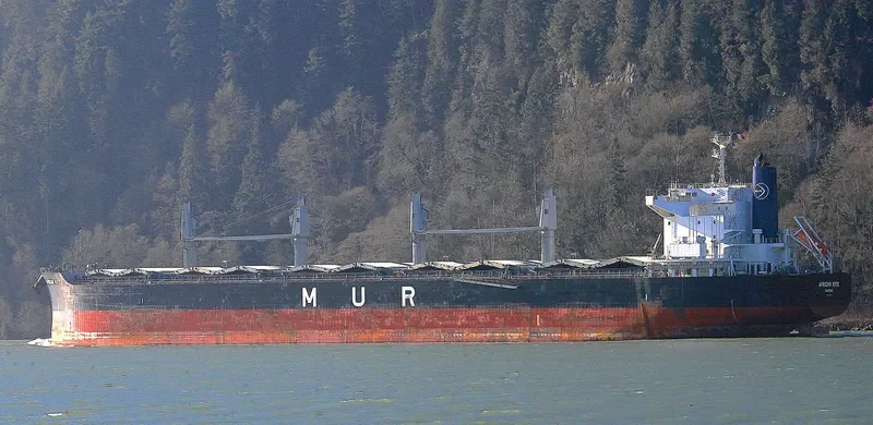 AFRICAN KITE Bulk Carrier IMO 9650937 photo 5