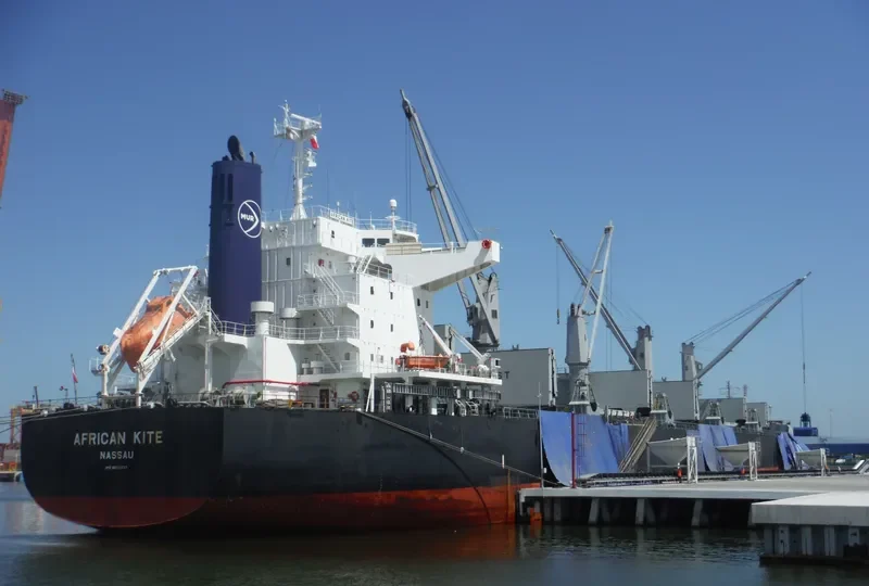 AFRICAN KITE Bulk Carrier IMO 9650937 photo 8
