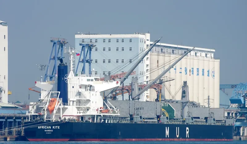 AFRICAN KITE Bulk Carrier IMO 9650937 photo 10